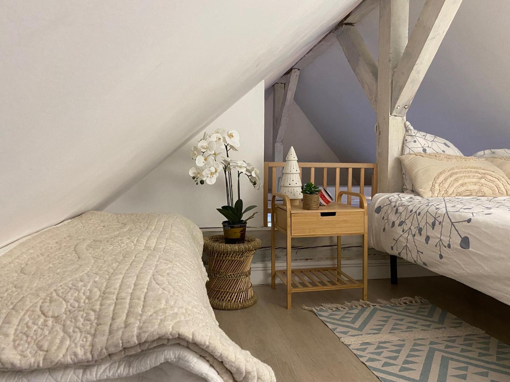 Duplex Spacieux Tout Confort Mulhouse Dış mekan fotoğraf
