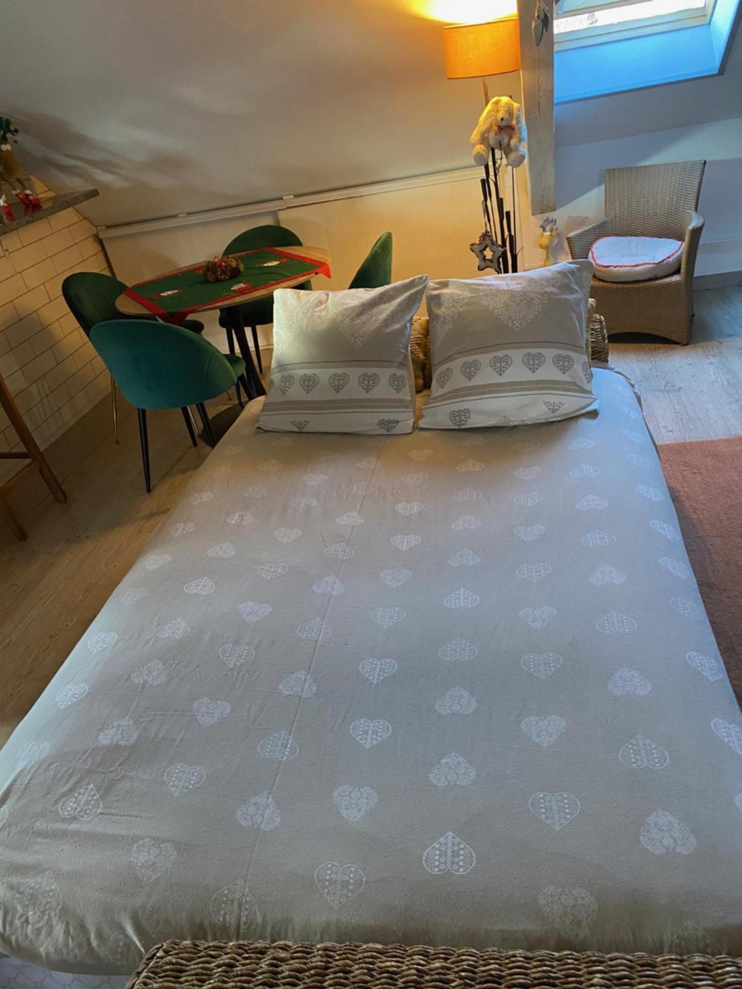 Duplex Spacieux Tout Confort Mulhouse Dış mekan fotoğraf