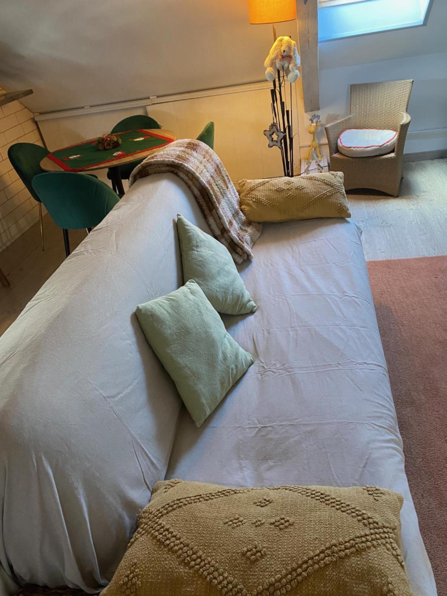 Duplex Spacieux Tout Confort Mulhouse Dış mekan fotoğraf