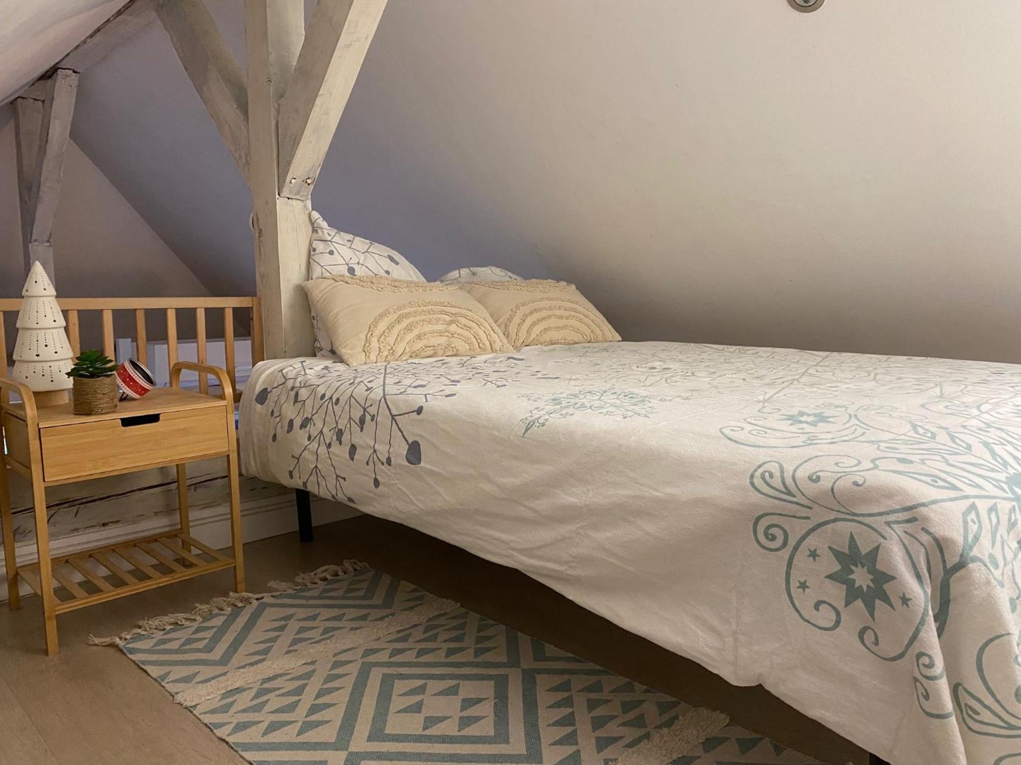 Duplex Spacieux Tout Confort Mulhouse Dış mekan fotoğraf